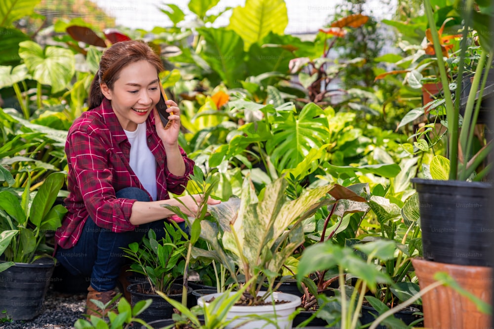 Asian woman gardener caring houseplants and flowers in greenhouse garden. Female plant shop owner taking order from customer on mobile phone. Small business entrepreneur and environment plant caring concept