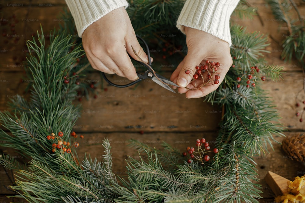 Making christmas wreath. Woman in cozy sweater cutting red berries branch with scissors on rustic wooden background with spruce, hands close up. Festive workshop, handmade decor