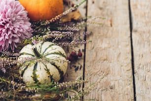 Autumn in countryside. Stylish pumpkins, autumn leaves, purple dahlias flowers, heather on rustic old wooden background. Rural fall harvest composition. Happy Thanksgiving and Halloween
