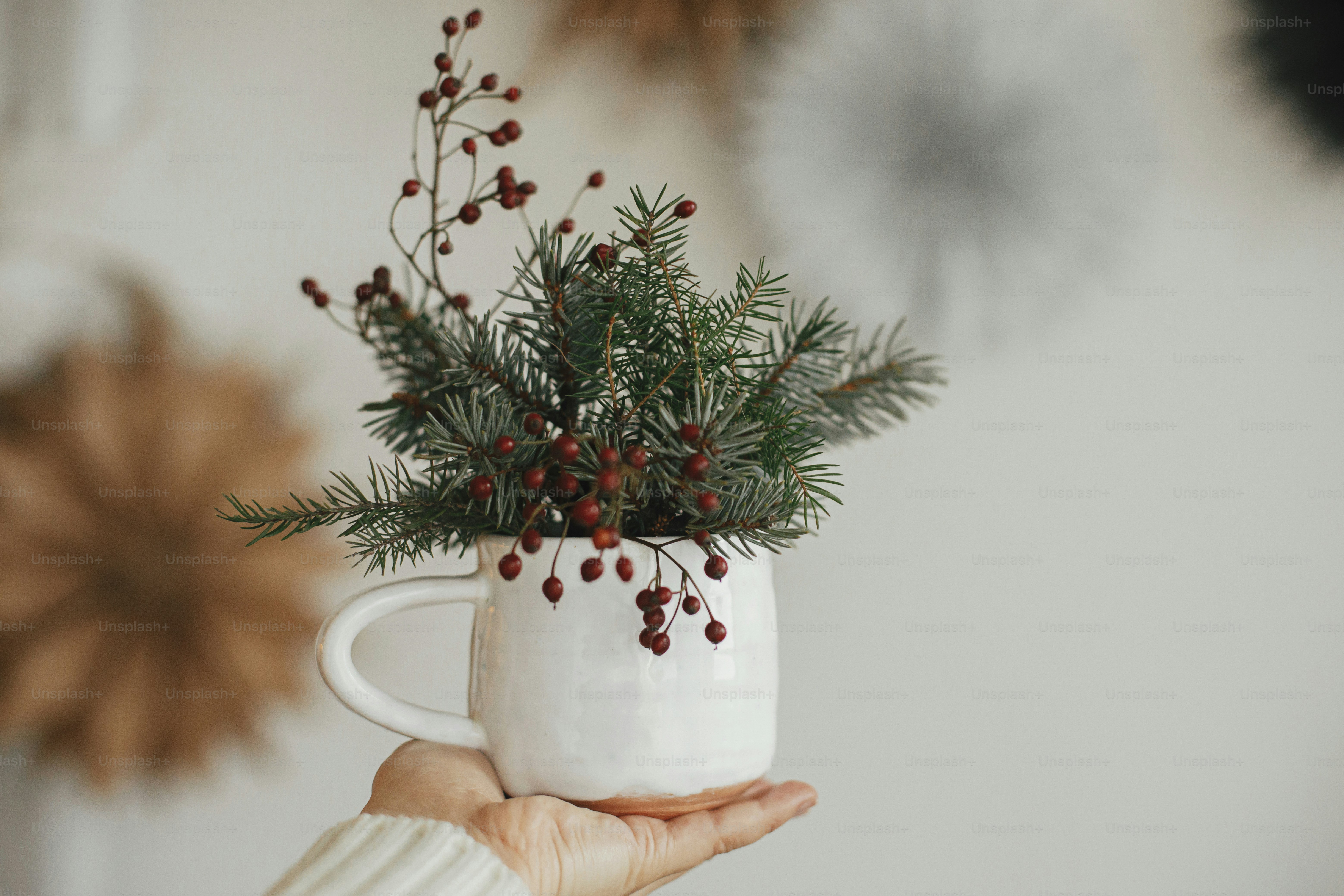 Waktu Musim Dingin yang nyaman. Tangan memegang cangkir bergaya dengan cabang cemara dan buah beri merah di latar belakang bintang kertas Swedia di ruangan Skandinavia.  Persiapan liburan. Selamat Natal dan Selamat liburan!