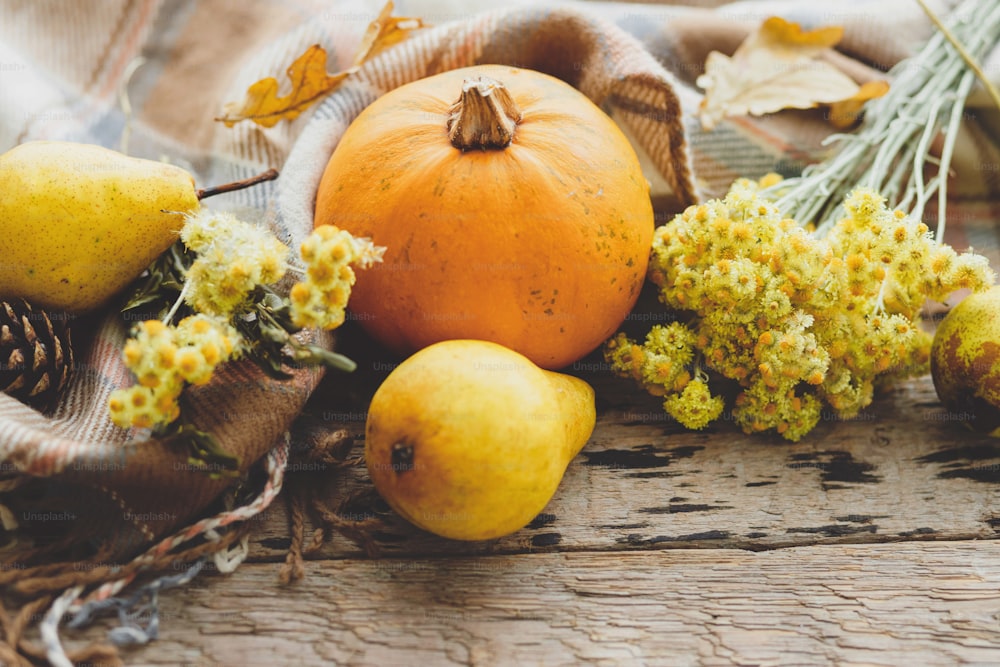 Happy Thanksgiving. Stylish pumpkin, autumn leaves, flowers, pears and cozy blanket on rustic old wooden background. Rural fall composition with space for text. Halloween