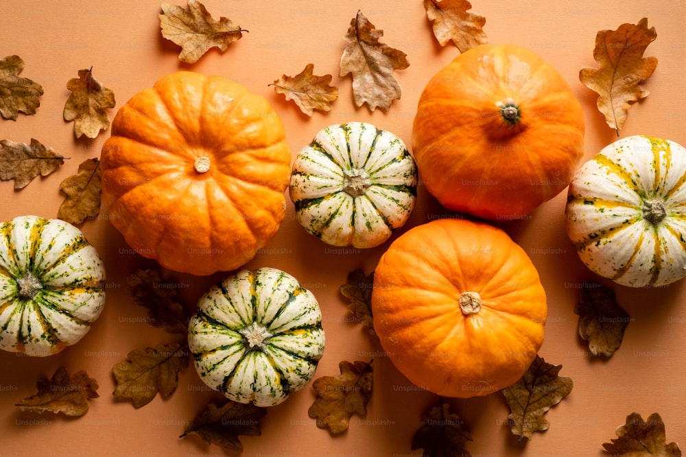 Herbstliche Komposition. Flach legen Kürbisse und trockene Eichenblätter auf orangefarbenem Hintergrund. Herbst, Herbstkonzept. Thanksgiving-Postkarten-Design.