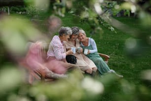 Happy senior women friends sitting on a bench and drinking tea outdoors in garden, laughing.