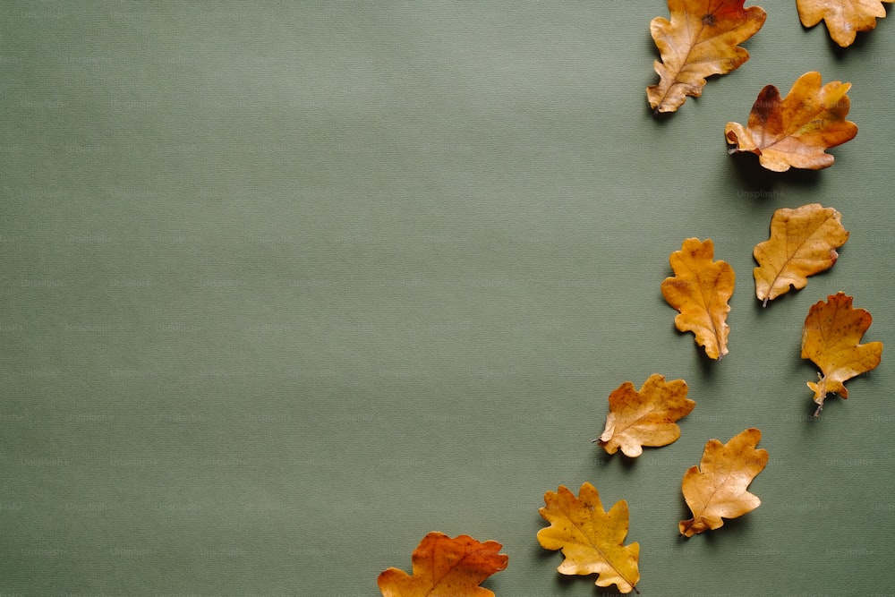 樫の葉が落ちた秋の背景。秋のフレーム。幸せな感謝祭の日のグリーティングカードテンプレート。