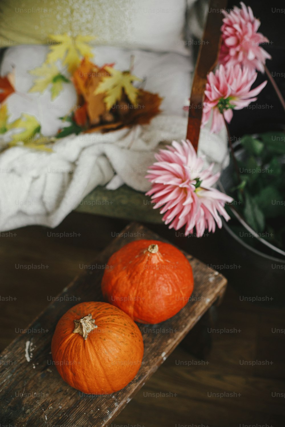Herbstsaison auf dem Land, ländliches langsames Leben. Schöne Kürbisse auf Holzbank, bunte Dahlien Blumenstrauß im Metalleimer und Blätter auf gemütlichem rustikalen Stuhl im Zimmer. Authentischer Moment zu Hause