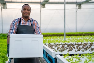 Portrait of African man vegetable garden owner holding delivery box of fresh organic hydroponics vegetables in greenhouse plantation. Small business food delivery, restaurant and supermarket advertising concept