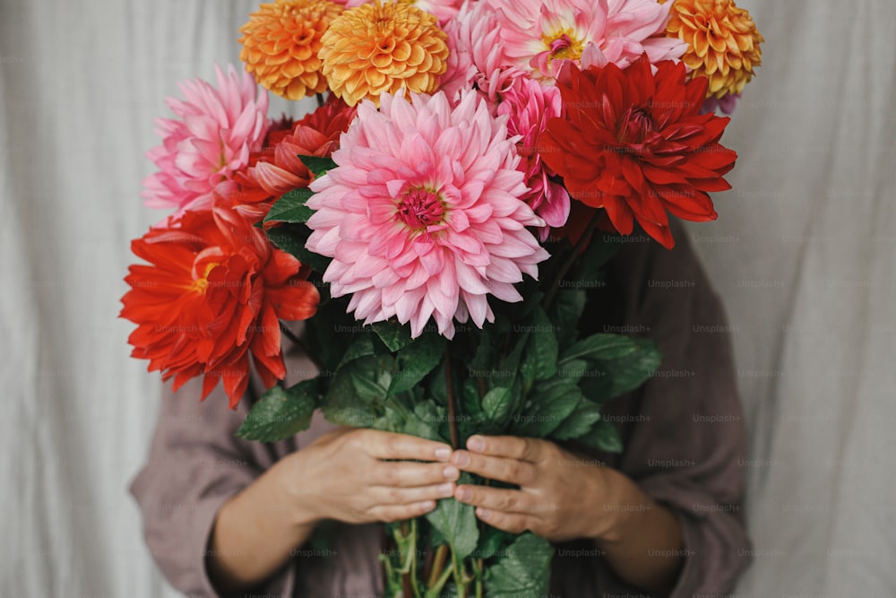 Bouquet de fleurs d’automne dans les mains d’une femme en gros plan dans une chambre rustique. Femme en robe de lin tenant de beaux dahlias colorés. Saison d’automne à la campagne. Fleuriste arrangeant des dahlias frais