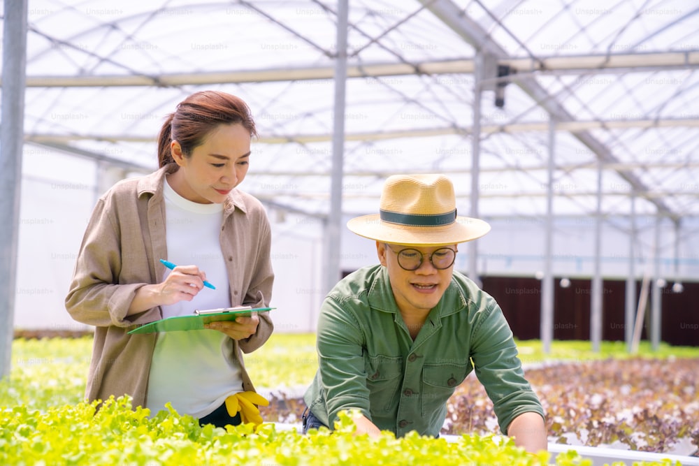 Pareja asiática agricultora que trabaja en una granja hidropónica de vegetales orgánicos. Propietario de un jardín de ensaladas hidropónico de hombre y mujer que verifica la calidad de la verdura en la plantación de invernadero. Concepto de pequeña empresa de producción de alimentos.