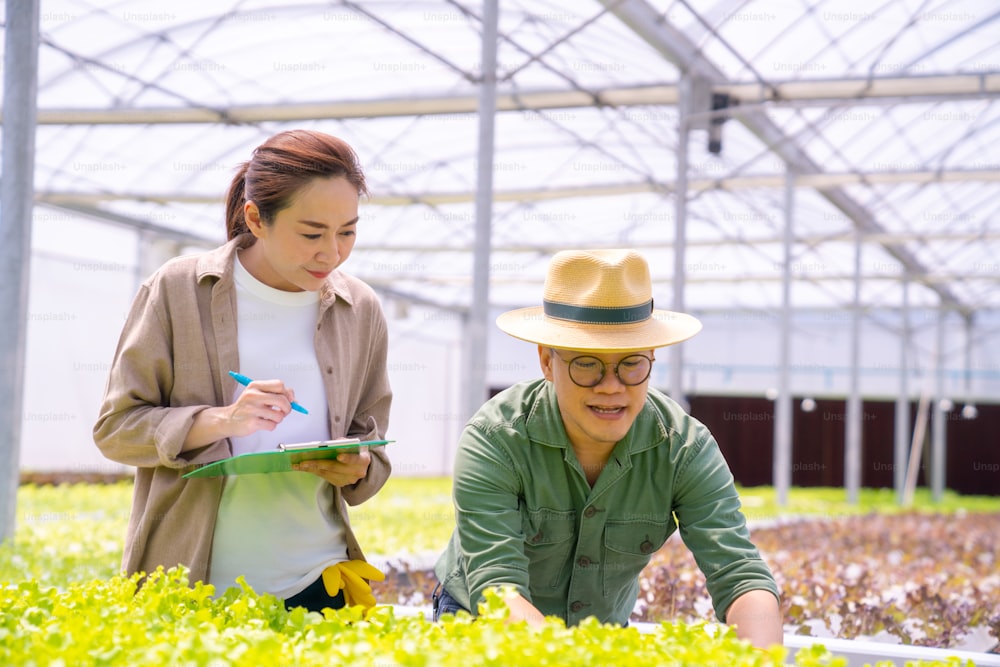 Asiatisches Paar Landwirt, das in einer Bio-Gemüse-Hydrokultur-Farm arbeitet. Mann und Frau Hydroponic Salat Gartenbesitzer Überprüfung der Qualität des Gemüses in Gewächshausplantage. Lebensmittelproduktion Kleinunternehmerkonzept.