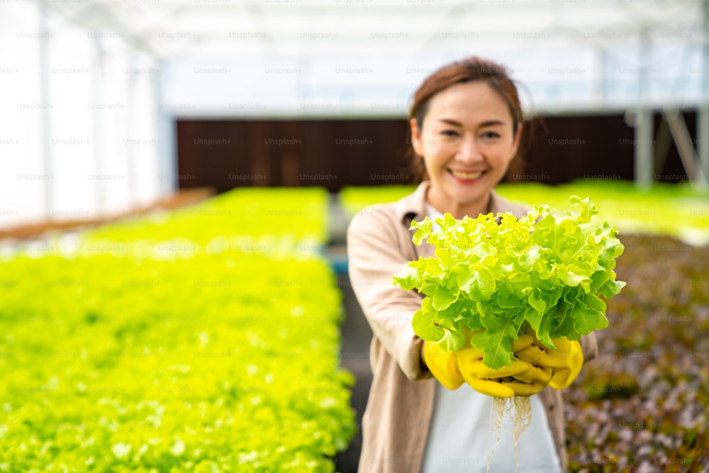 Ritratto di donna asiatica sorridente che tiene in mano verdure fresche biologiche per insalata in una piantagione di serre idroponiche. Concetto di pubblicità di piccole imprese, ristoranti e supermercati di produzione alimentare.
