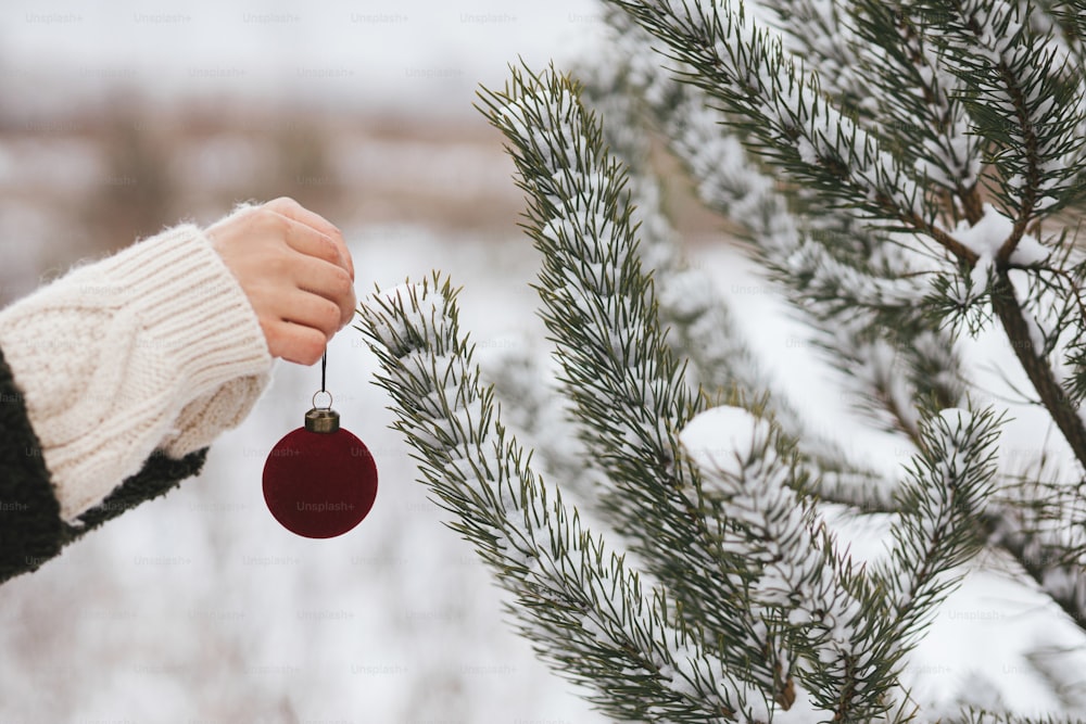 Hand decorating pine tree branches with modern red bauble. Decorating christmas tree in snow outdoors. Preparation for winter holidays in countryside. Merry Christmas! Space for text