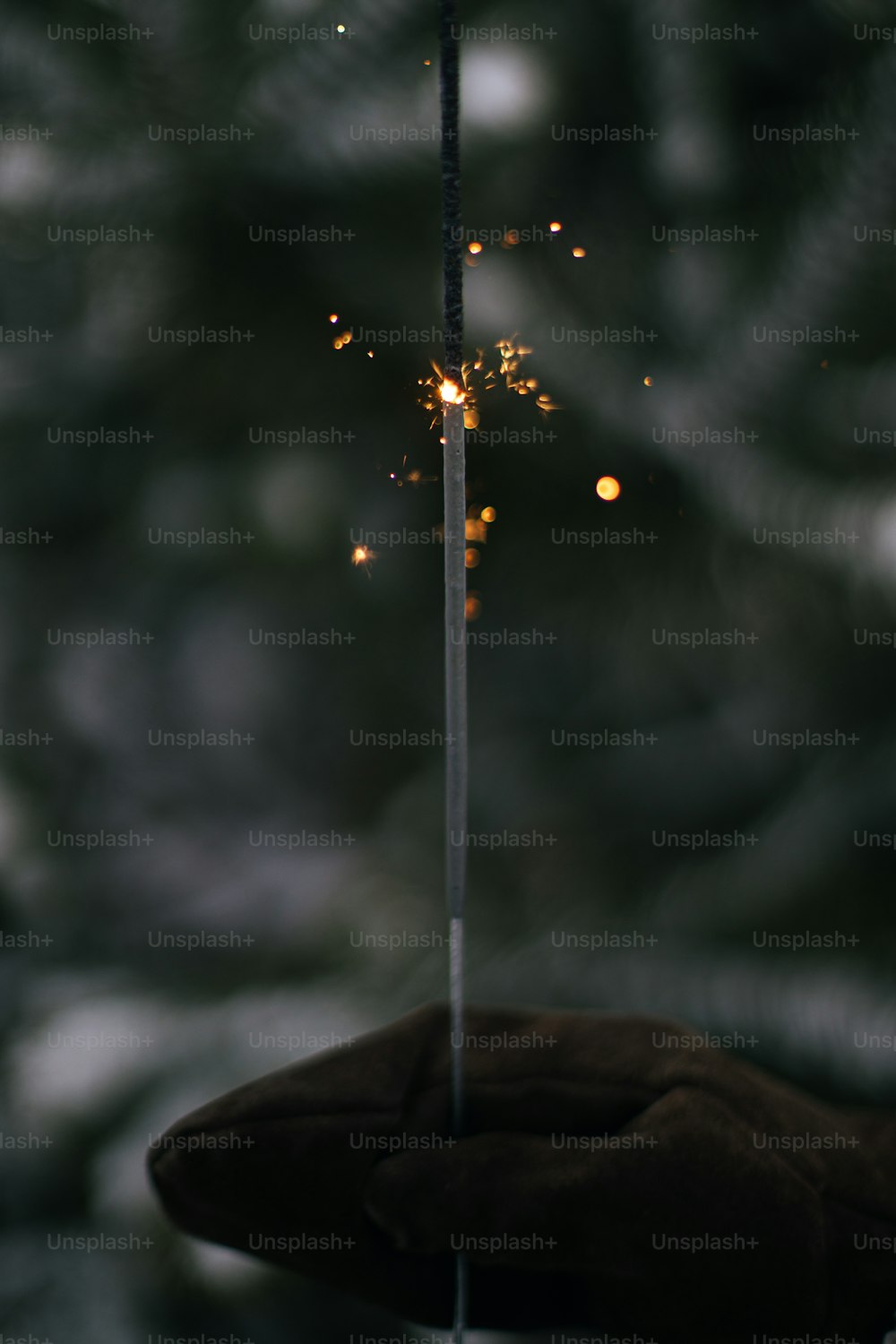 Hand holding burning sparkler on background of pine tree branches in snow in evening. Happy New Year!  Woman hand in stylish mitten with glowing firework. Atmospheric magic moment. Happy Holidays!