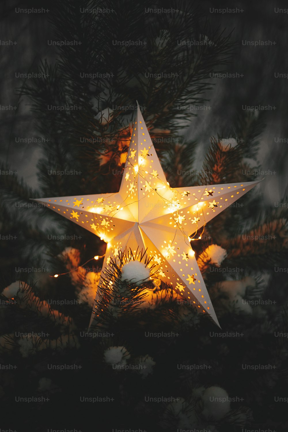 Big Christmas star glowing on snowy pine tree in winter park at night, close up. Atmospheric magic winter time. Illuminated christmas star in evening. Merry Christmas! Xmas miracle