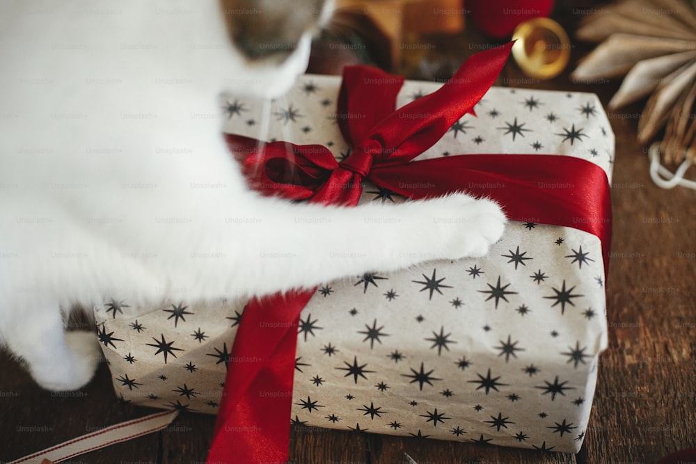 Pattes de chaton mignon sur un cadeau de Noël élégant avec un ruban rouge et des décorations de Noël festives sur une table en bois rustique. Animaux de compagnie et vacances d’hiver. Un chat adorable aide à emballer le cadeau de Noël. Joyeuses Fêtes