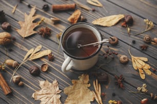 Taza de té caliente sobre fondo de hojas de otoño, bayas, nueces, anís, bellotas, piñas sobre madera oscura rústica. Hola otoño y feliz Día de Acción de Gracias. Acogedores días de otoño