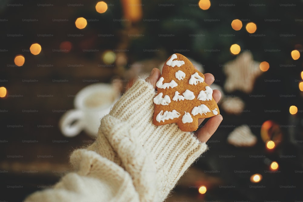 Hand in cozy sweater holding christmas tree gingerbread cookie on rustic moody background with warm lights. Winter hygge. Merry Christmas and Seasons greeting. Moody image