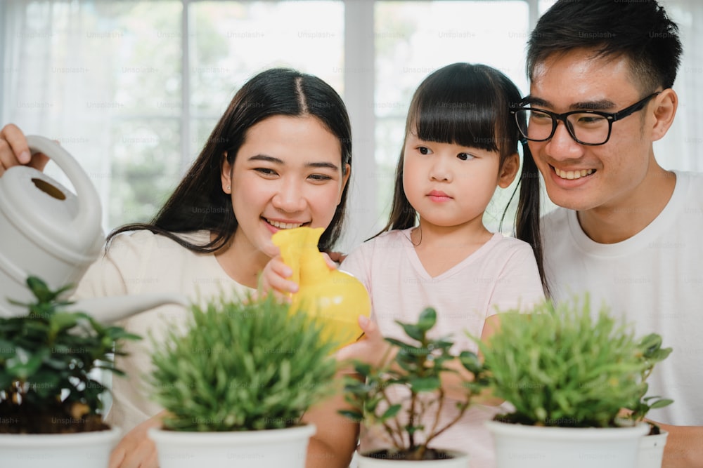 Happy cheerful Asian family dad, mom and daughter watering plant in gardening near window at house.