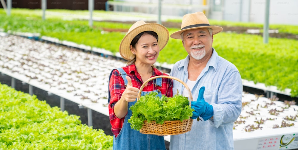 Porträt einer jungen Asiatin und eines älteren Landwirts, der Bio-Salat im Korb im Gewächshausgarten hält. Vater und Tochter Salatgartenbesitzer, der zusammen in der Hydrokultur-Gemüsefarm arbeitet.