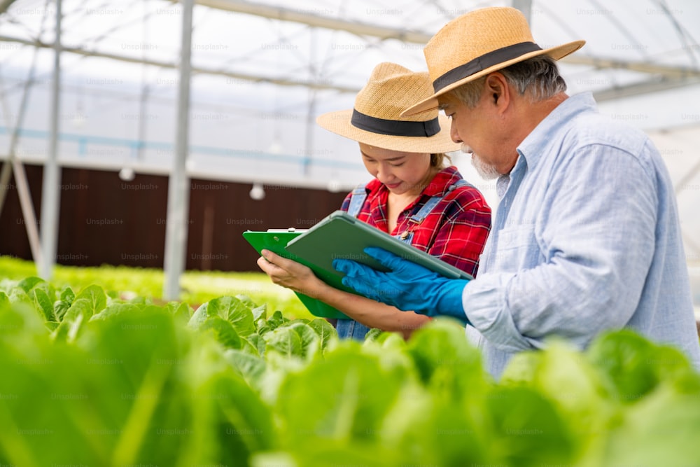 Junge asiatische Frau und älterer Landwirt arbeiten zusammen in Bio-Hydrokultur-Salat-Gemüsefarm. Moderner Gemüsegartenbesitzer mit digitalem Tablet prüft Salatqualität im Gewächshausgarten