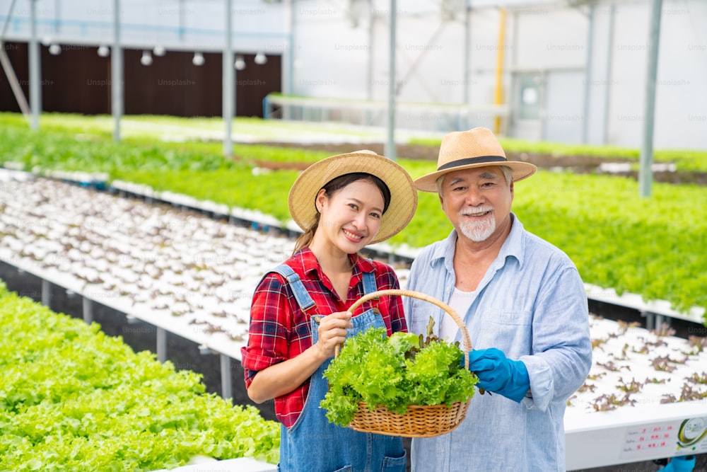 Retrato de una joven mujer asiática y un granjero mayor sosteniendo lechuga orgánica en la canasta en el jardín del invernadero. Padre e hija, dueño de un huerto de ensaladas, trabajando juntos en una granja de hortalizas hidropónicas.
