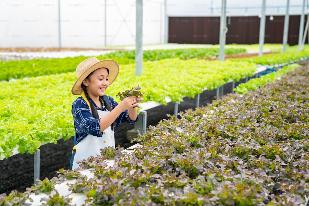 Feliz granjera asiática sosteniendo y mirando lechuga orgánica en su mano en el jardín del invernadero. Niña niña aprendiendo sistema hidropónico en granja de hortalizas. Educación y concepto de alimentación saludable.