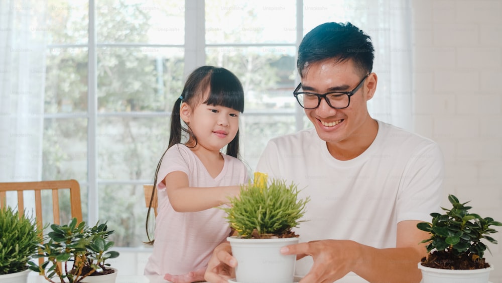 Happy cheerful Asian family dad and daughter watering plant in gardening near window at house.