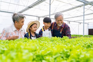 Heureux agriculteur familial asiatique travaillant ensemble dans une ferme maraîchère à système hydroponique. Les grands-parents enseignent à un petit petit-enfant, garçon et fille, cultivent et entretiennent des légumes de laitue biologique dans un jardin en serre.