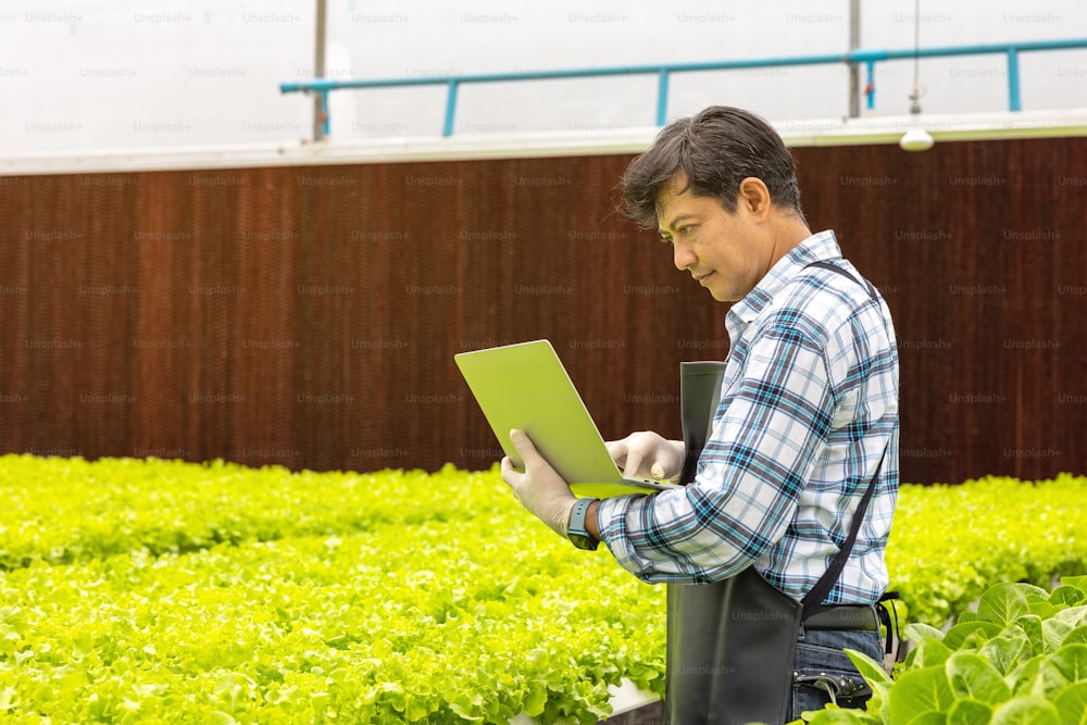 In a greenhouse environment, an agricultural researcher examines plants with a laptop computer while holding the laptop.