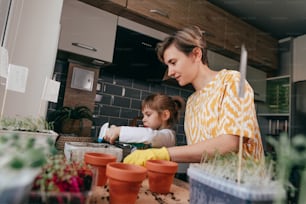 Menina com mãe regando plantando sementes de beterraba na cozinha. Plantio caseiro de microgreens comestíveis. Foco seletivo.