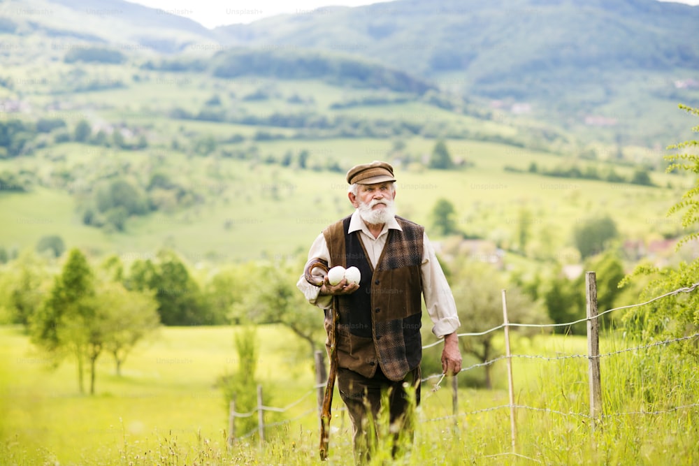 Alter Bauer mit Bart geht auf Wiese spazieren