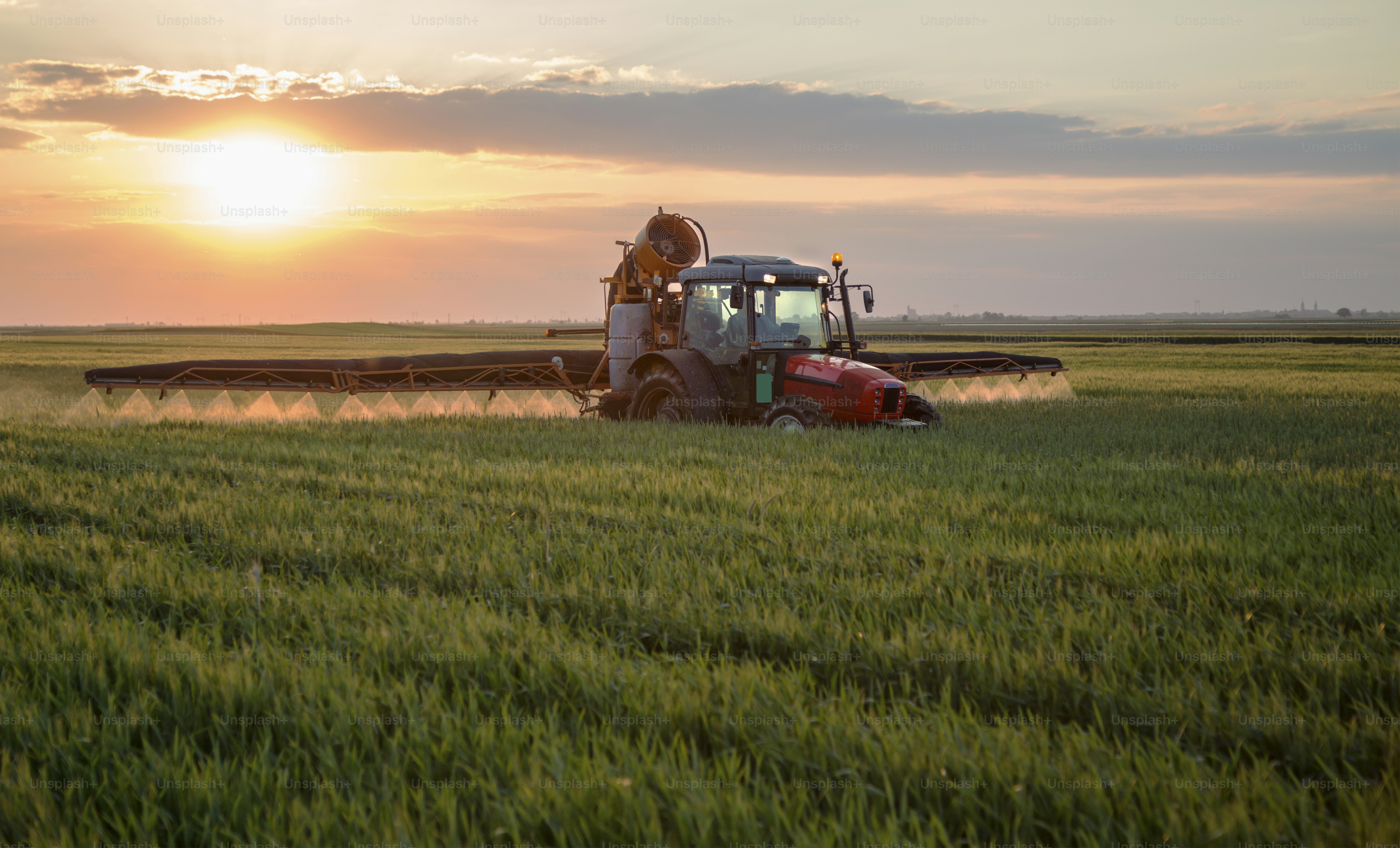 Farmer spraying wheat field at spring season, herbicides, pesticides