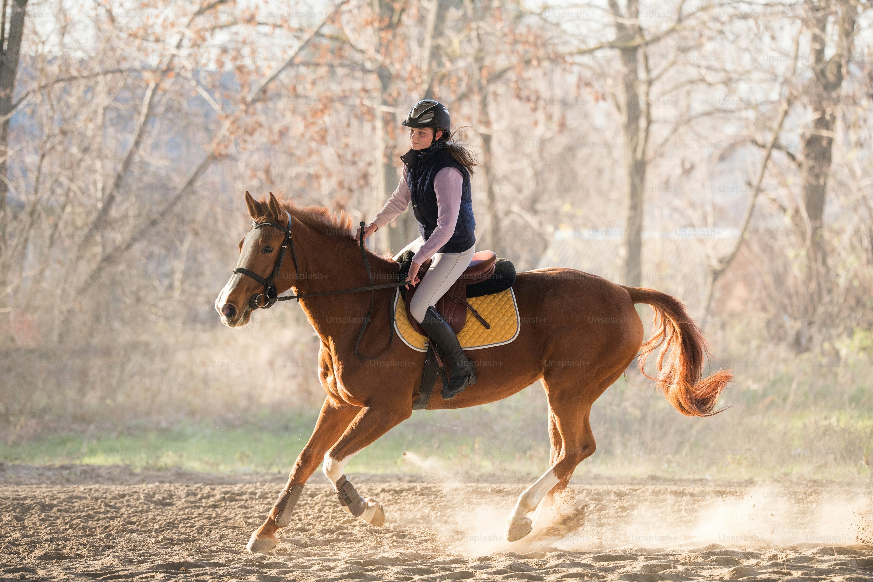 Young pretty girl riding a horse