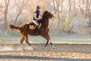 Young pretty girl riding a horse