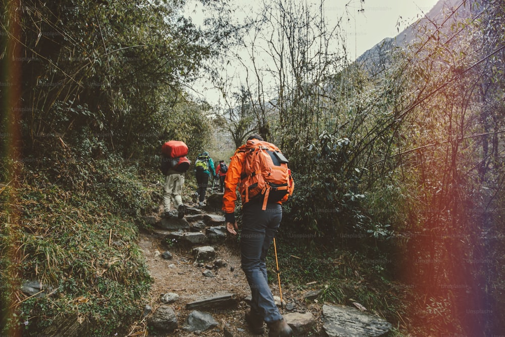 Retro style photo of group of mountain trekkers on Himalayan forest.