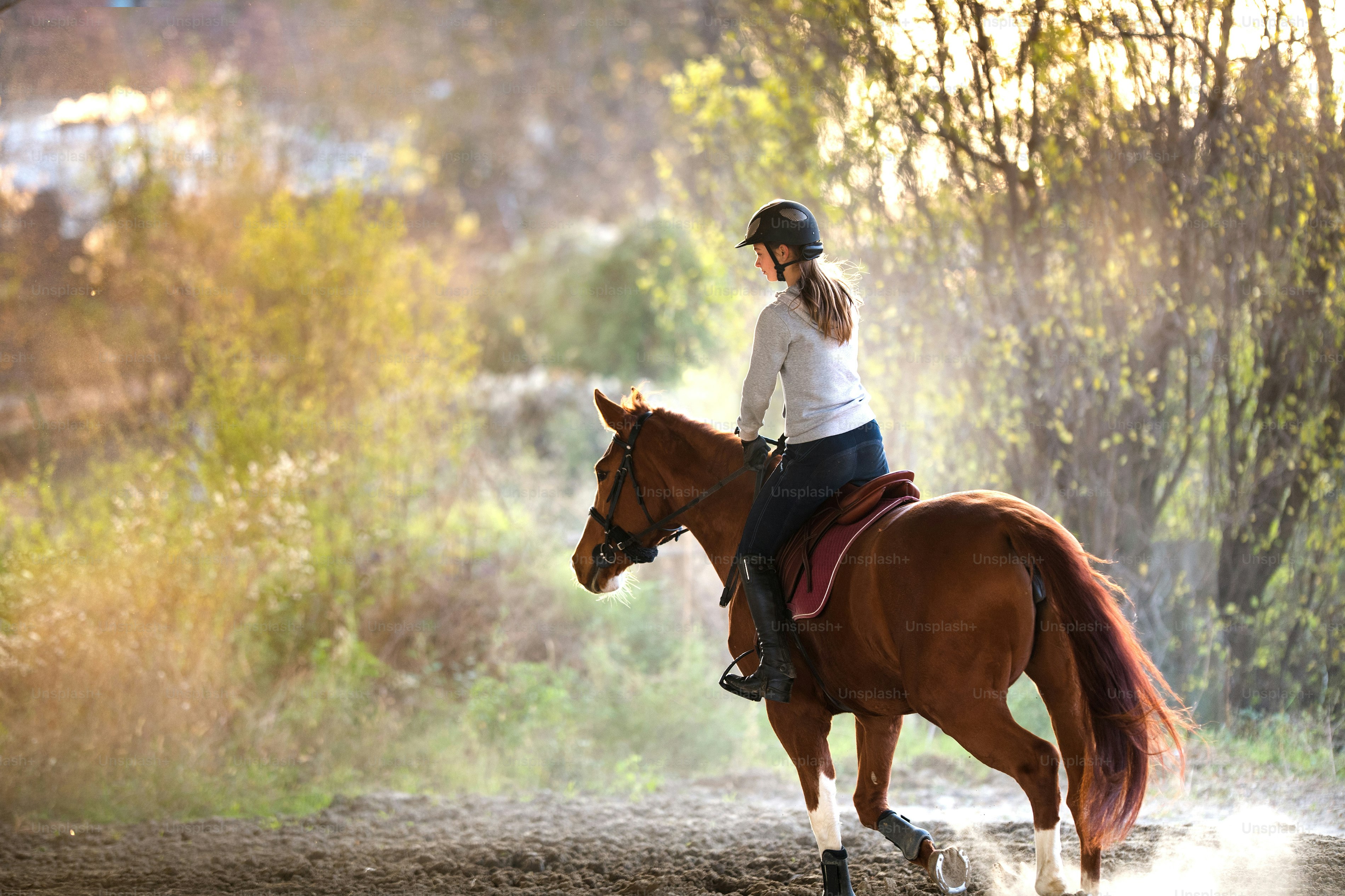Junges hübsches Mädchen auf einem Pferd