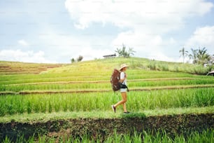 Young traveling girl walking with backpack among rice terraces