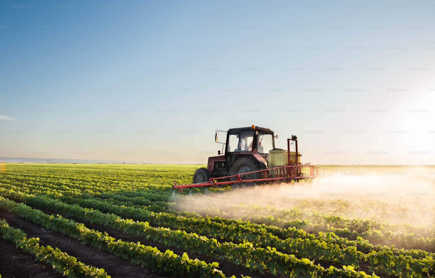 Agroindustria oleaginosas caña Bolivia