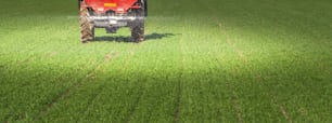 tractor fertilizing in wheat field