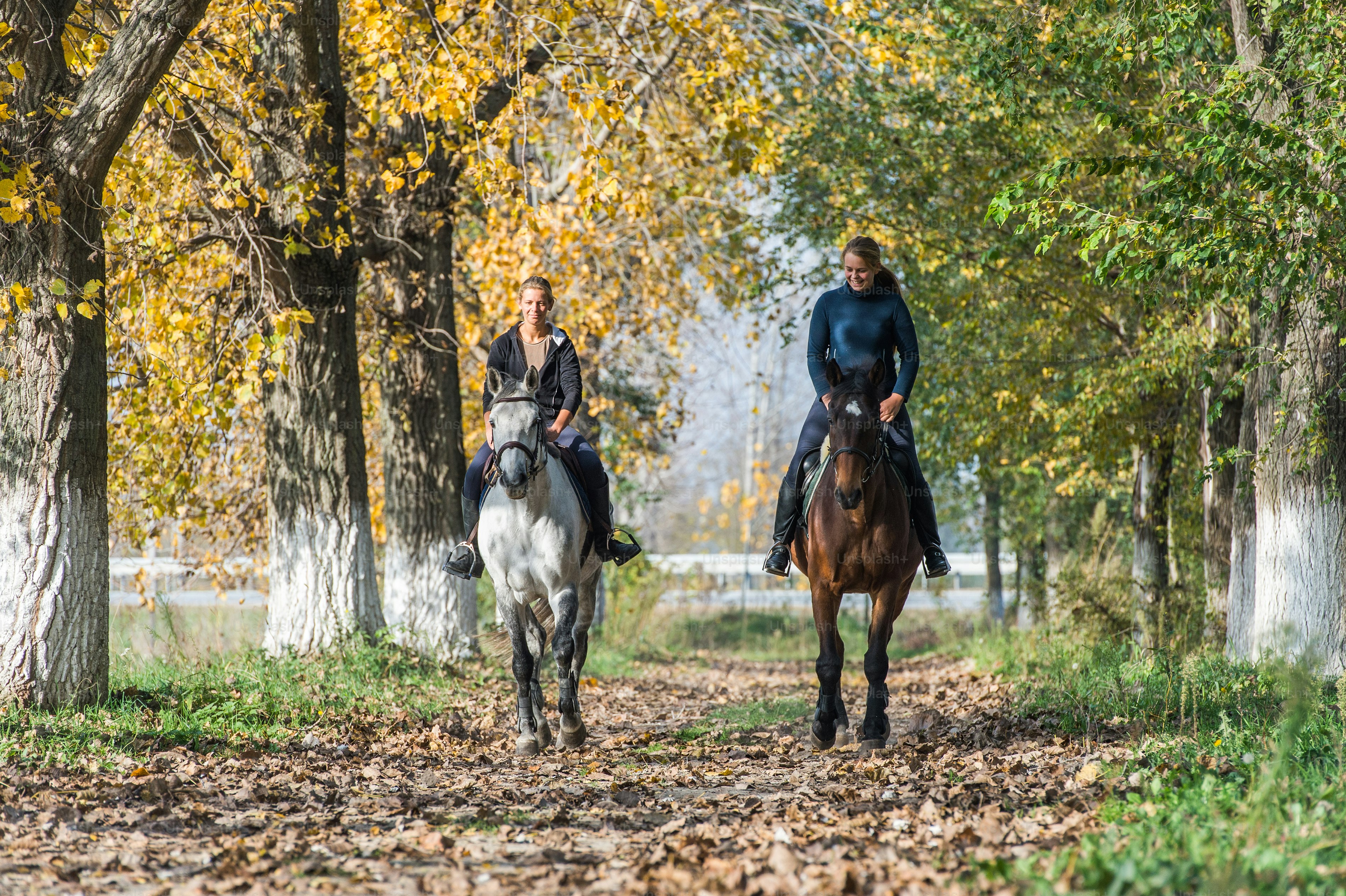 Girls on a horse ride. photo – Domestic animals Image on Unsplash