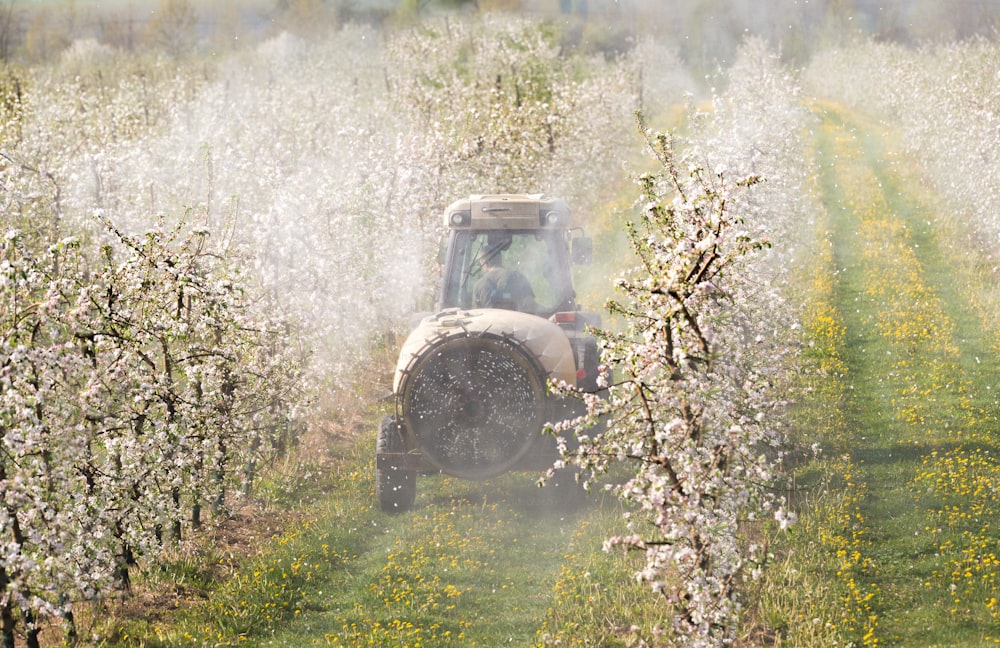 Tractor sprays insecticide in apple orchard