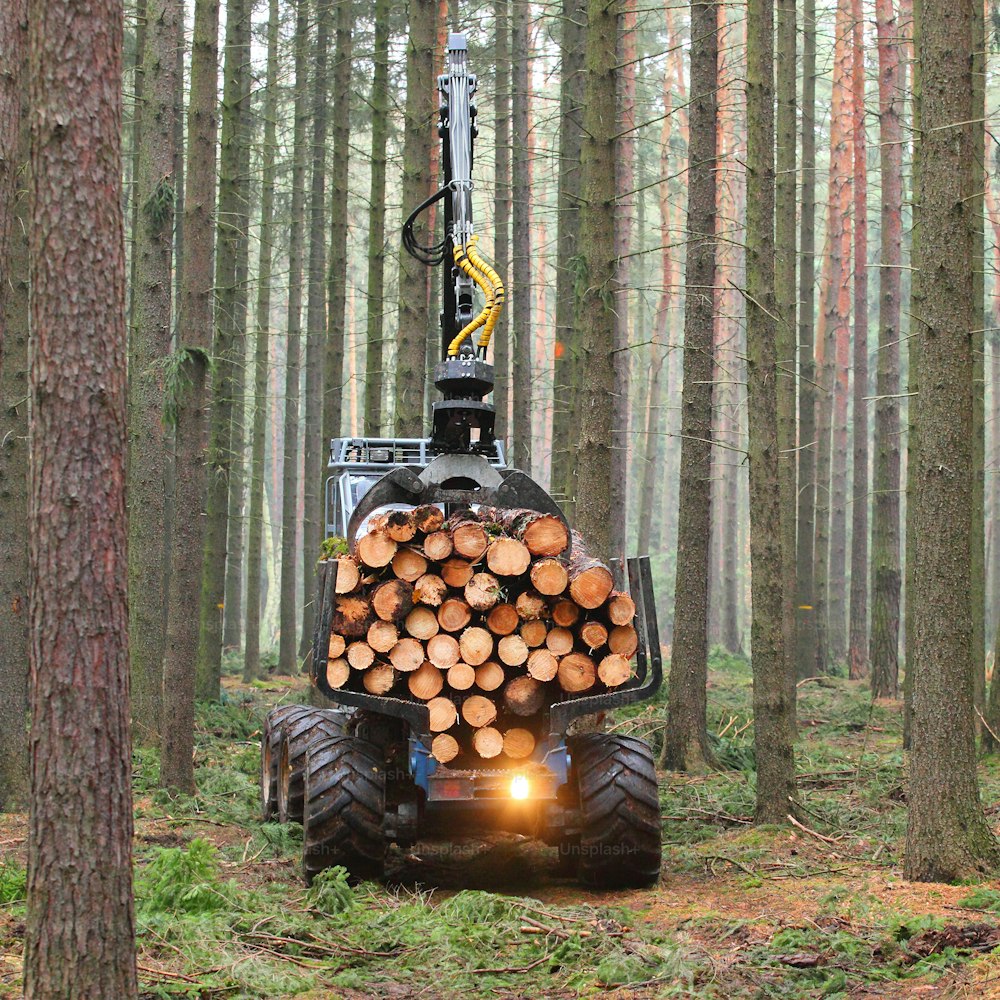 L’abatteuse travaillant dans une forêt.