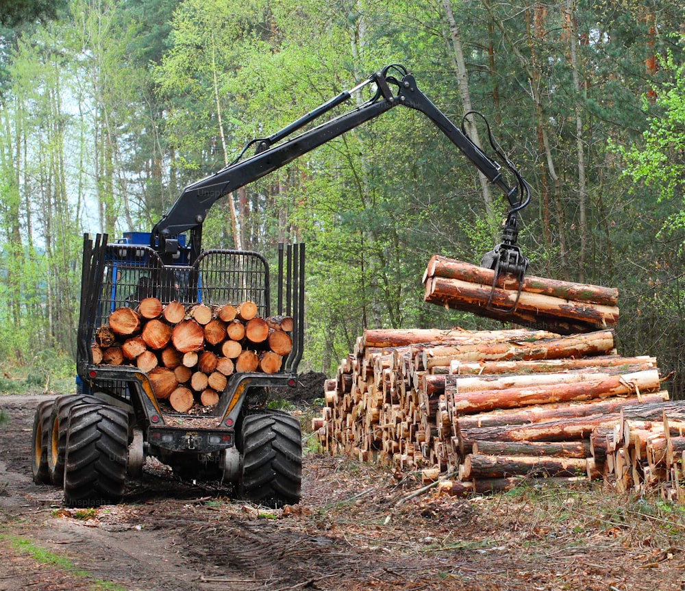 The harvester working in a forest.