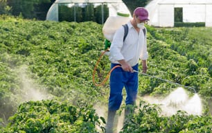 a man spraying pesticide on a field