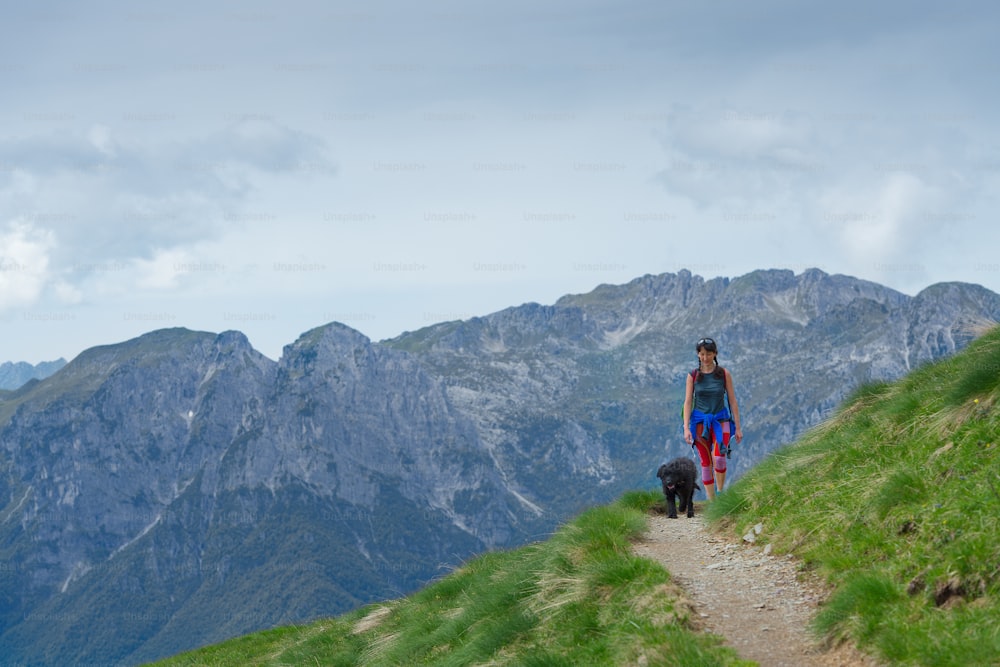 Mulher seu cão andando no caminho ao longo dos prados da montanha