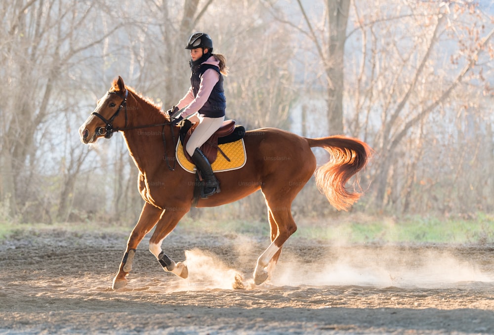 Young pretty girl riding a horse