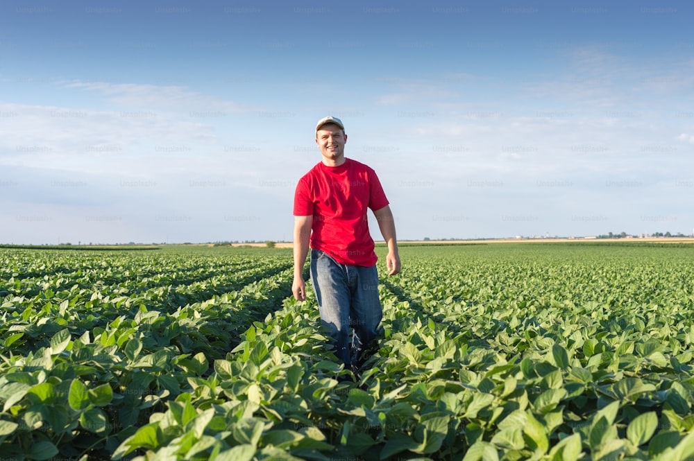 Young farmer in soybean fields