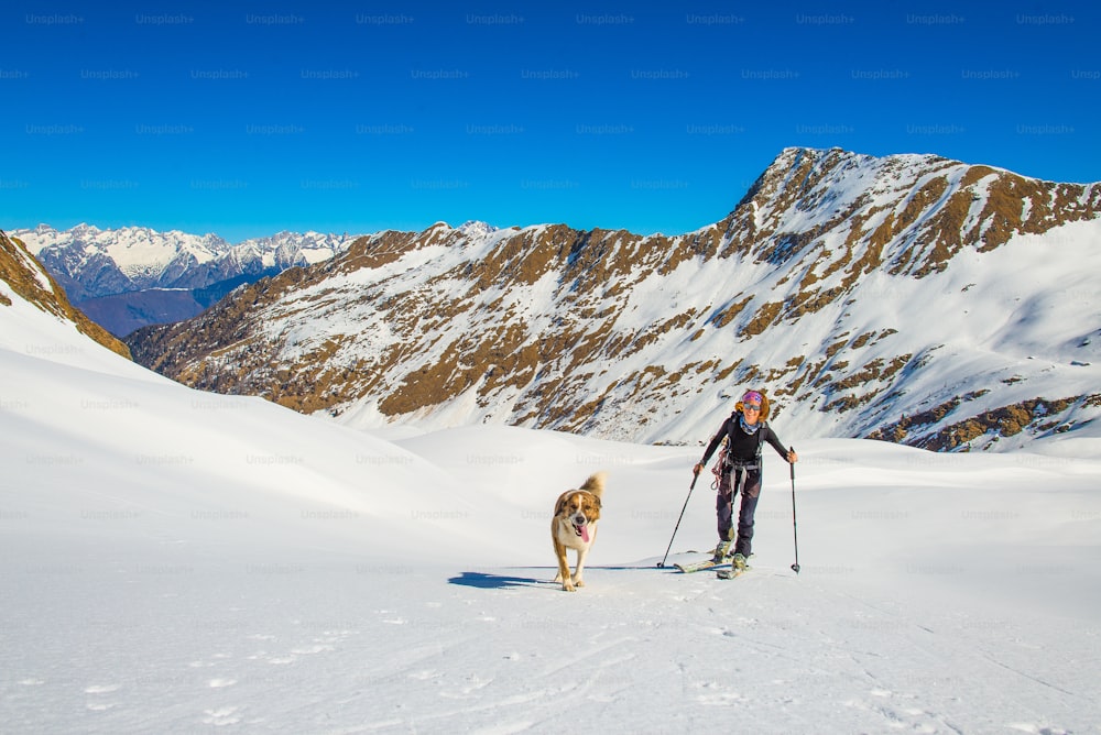 Menina faz esqui montanhismo com cachorro.