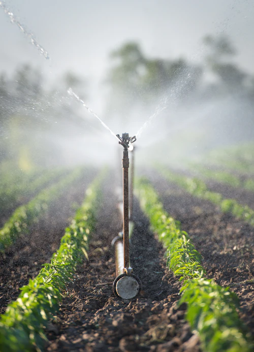 Sistema de riego operando sobre una superficie verde