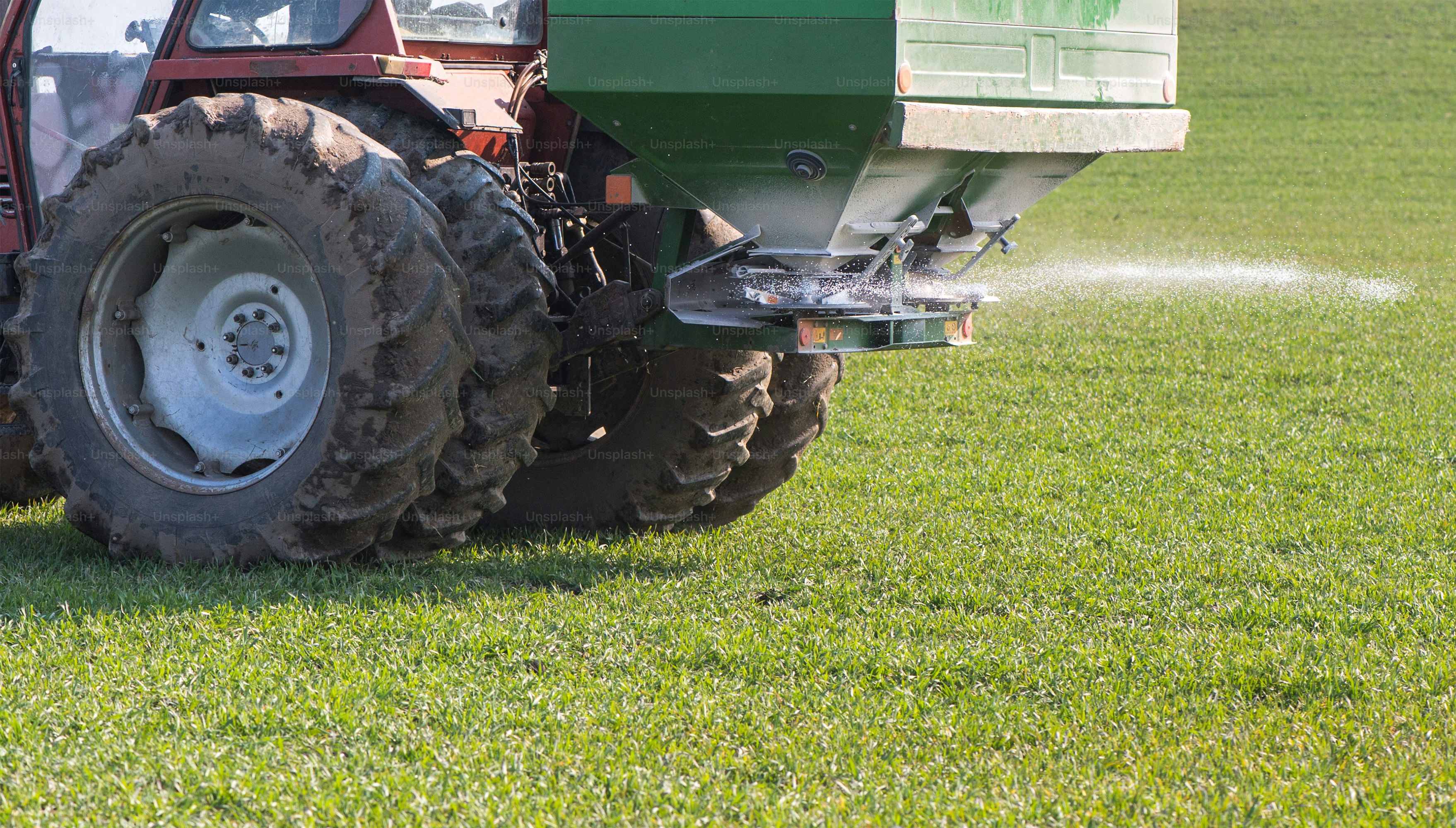 Professional fertilizer application on healthy green lawn