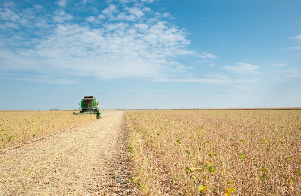 A farmer combines a field of soybeans